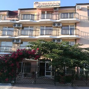 Family Hotel Mimosa